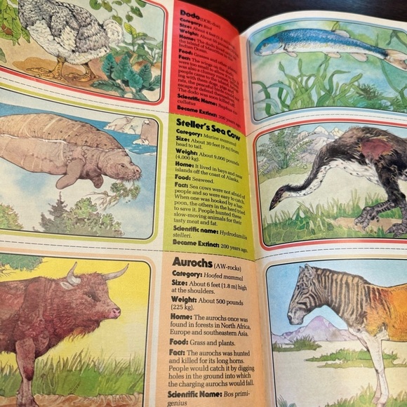 321 Contact Magazine April - May 1981 by Children's Television Workshop - Picture 7 of 15